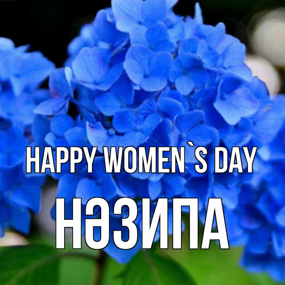 Greetings card с именем, НӘЗИПА happy women`s day синие цветы Greetings with text for free download 
